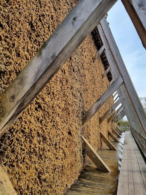 Ferienwohnung Direkt Am Kurpark Mit Gradierwerk Solestadt Bad Dürrenberg Dış mekan fotoğraf